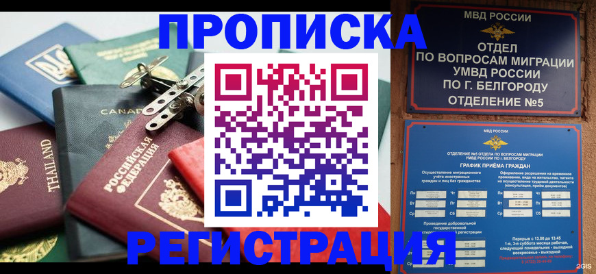 временная регистрация недорого в Ермолино
